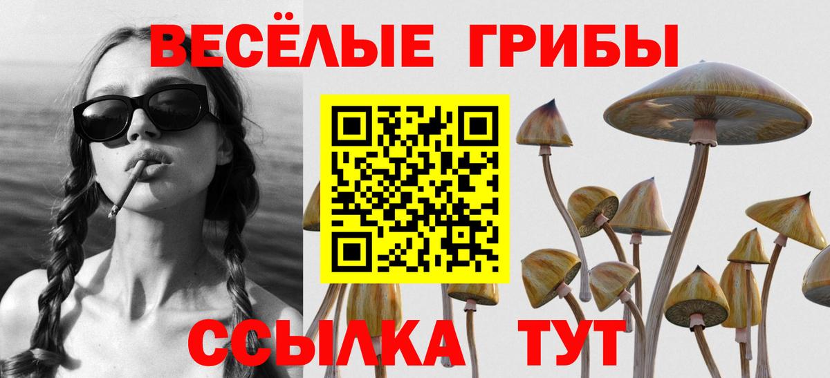 Псилоцибиновые грибы MAGIC MUSHROOMS  Галлюциногенные грибы ЛСД  купить наркотик  Вход с VPN  Саяногорск 